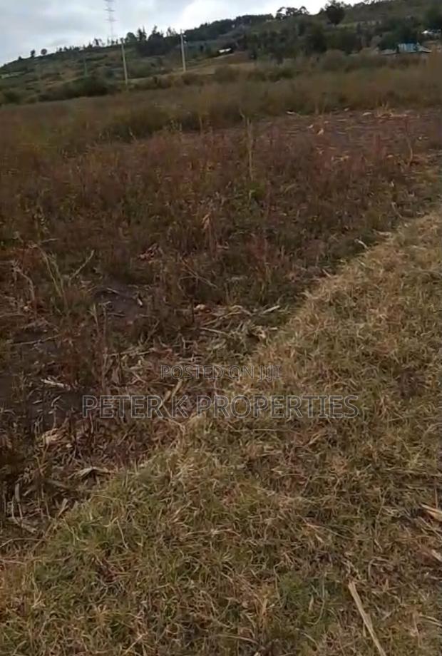 Fertile Land Farming or Plots at Affordable Price