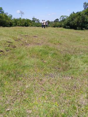 Land for Sale - thumbnail 2