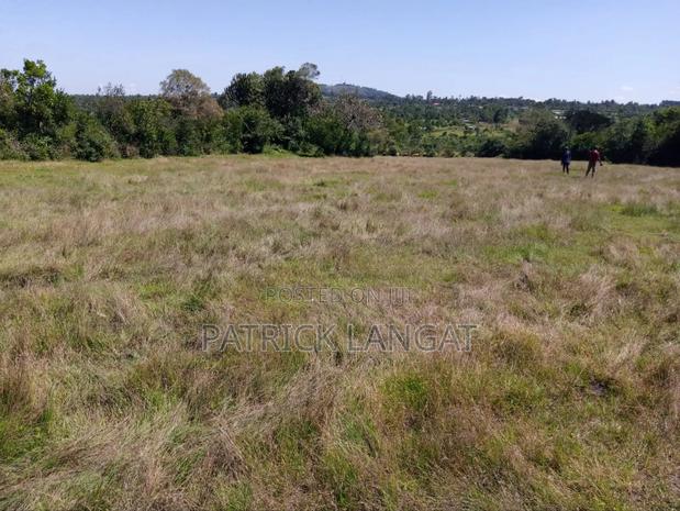 Land for Sale - thumbnail 3