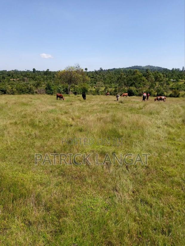 Land for Sale - thumbnail 4