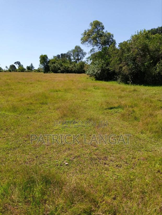 Land for Sale - thumbnail 5