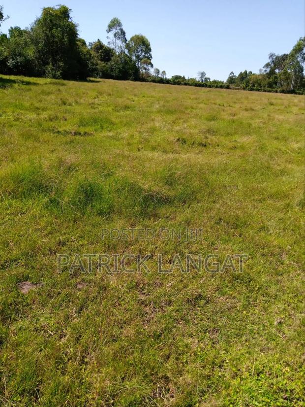 Land for Sale - thumbnail 6