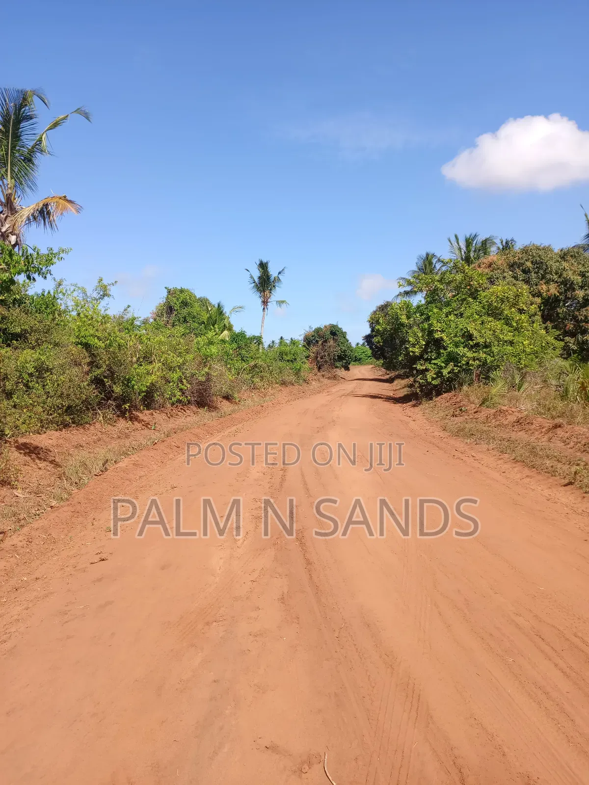 7 Acres in Mabokoni Kwale on Sale