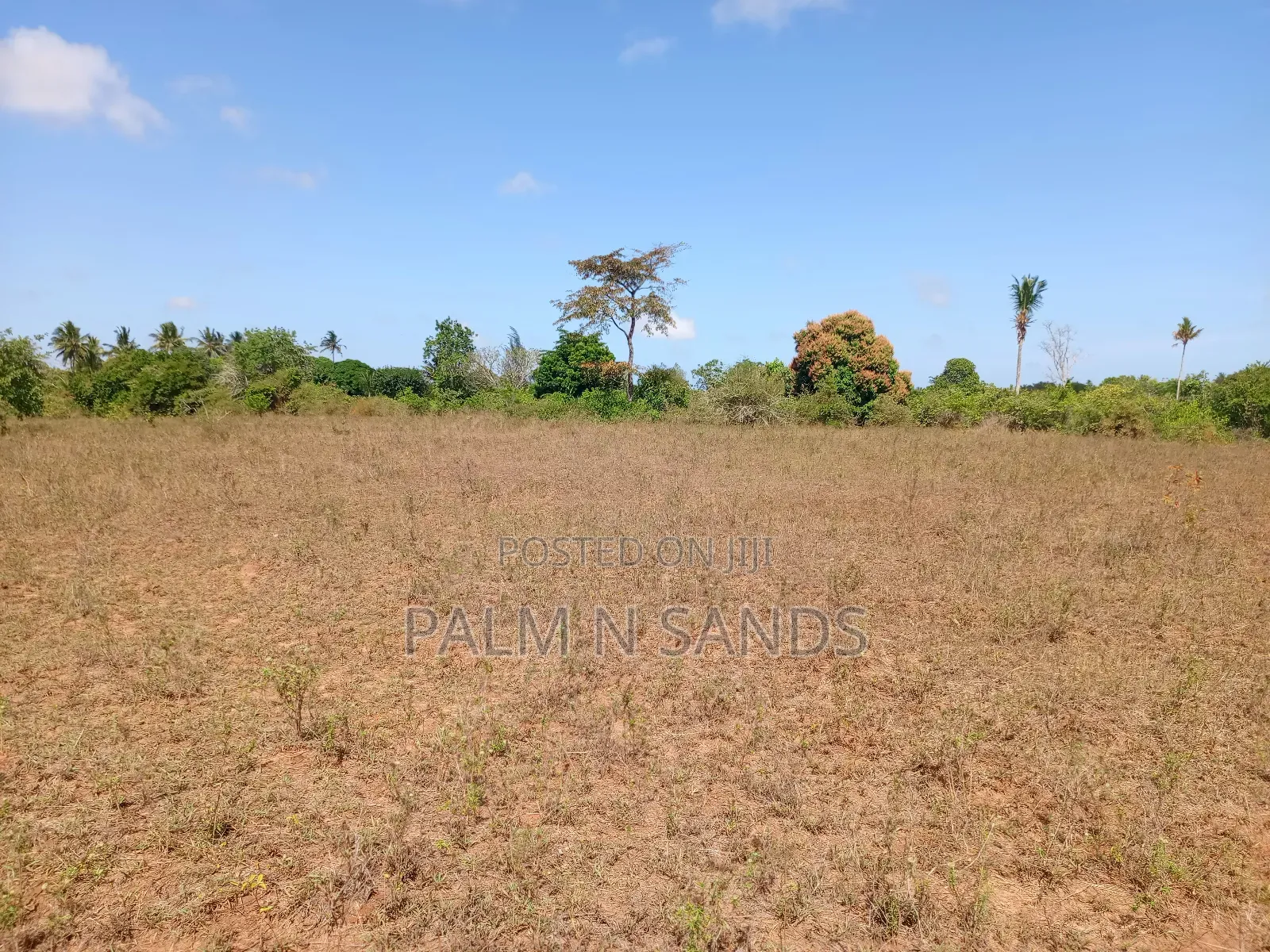 7 Acres in Mabokoni Kwale on Sale