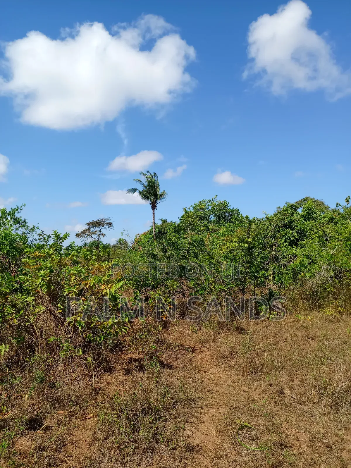 7 Acres in Mabokoni Kwale on Sale