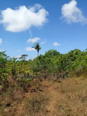 7 Acres in Mabokoni Kwale on Sale