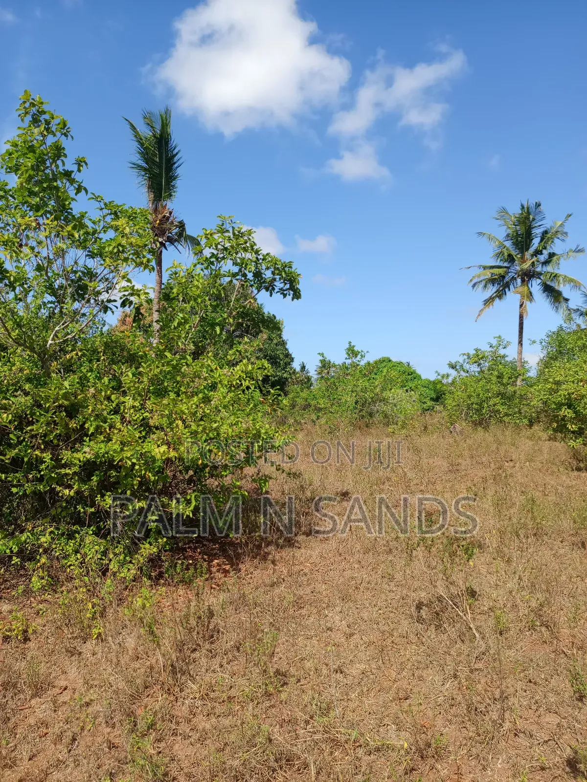 7 Acres in Mabokoni Kwale on Sale