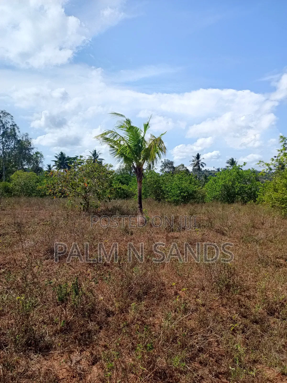 7 Acres in Mabokoni Kwale on Sale
