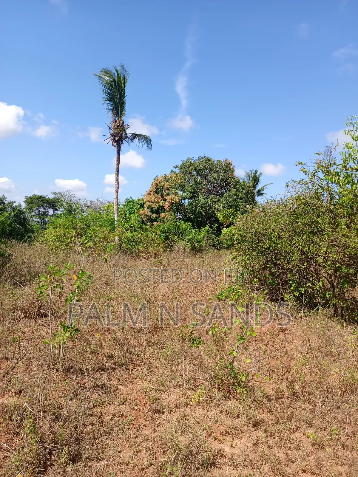 7 Acres in Mabokoni Kwale on Sale