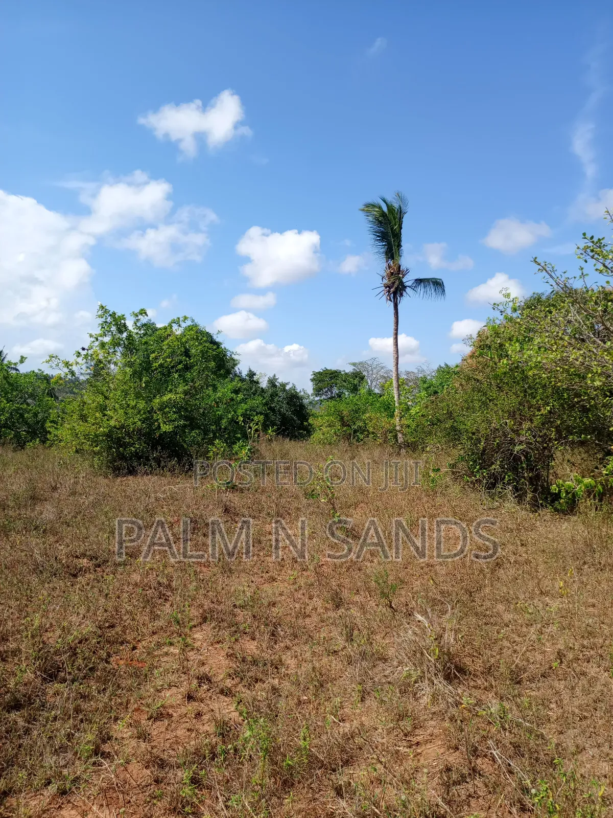 7 Acres in Mabokoni Kwale on Sale