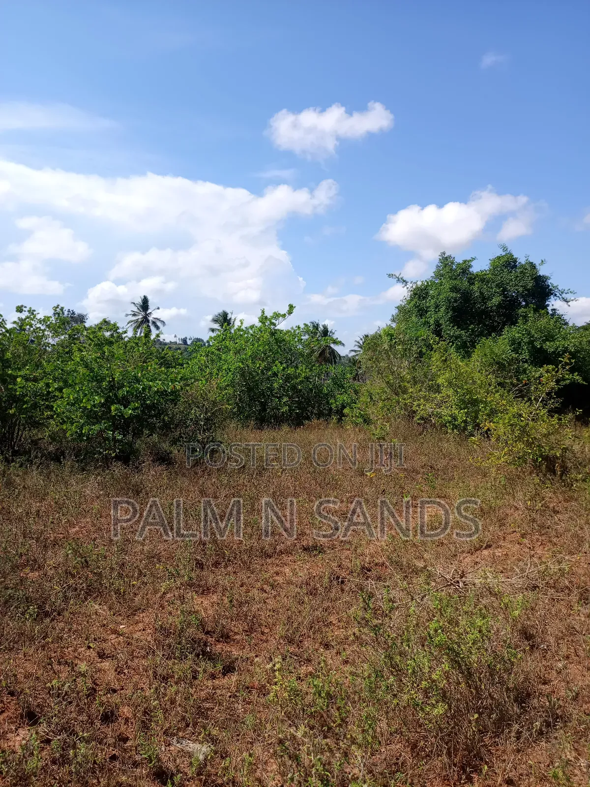 7 Acres in Mabokoni Kwale on Sale
