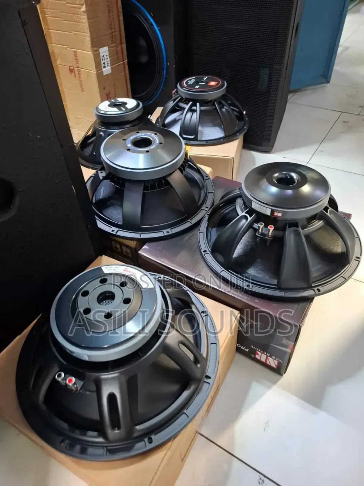 Nr 12-Inch Naked Speakers