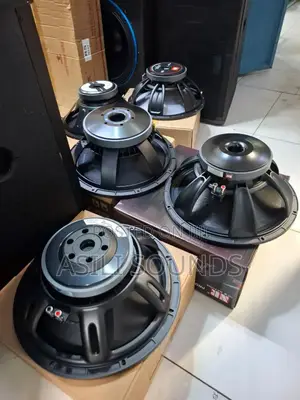 Nr 12-Inch Naked Speakers