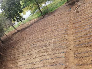 Irrigation Services