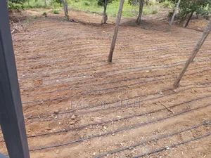 Irrigation Services