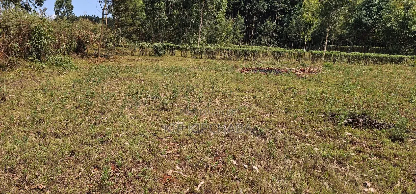 1⁄4 Plots for Sale in St Georges Eldoret Kapseret