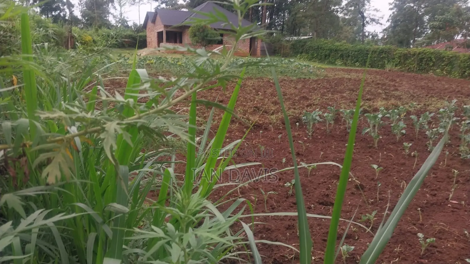 0.12ha Land With Close to Completion 2bed Bungalow