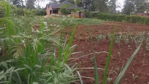 0.12ha Land With Close to Completion 2bed Bungalow