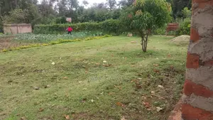 0.12ha Land With Close to Completion 2bed Bungalow