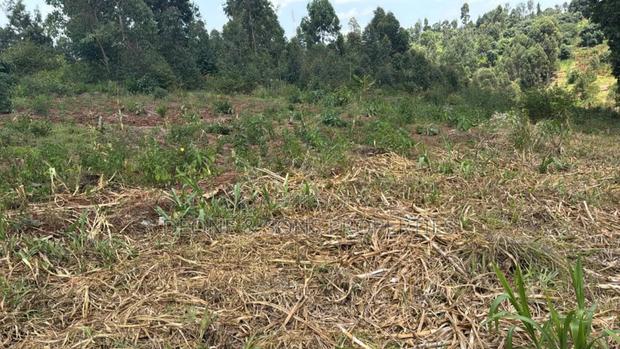 1/8 Plots On Sale In Kiambu, Gatundu-kiamwangi - thumbnail 2