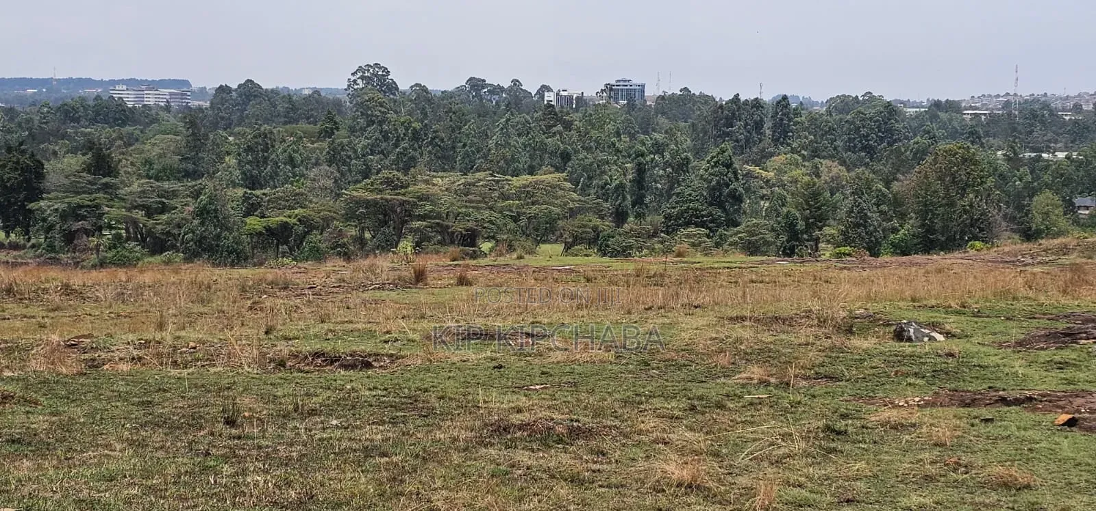 1⁄4 Plots for Sale in Elgonview Eldoret