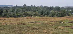 1⁄4 Plots for Sale in Elgonview Eldoret
