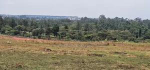 1⁄4 Plots for Sale in Elgonview Eldoret