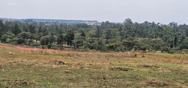 1⁄4 Plots for Sale in Elgonview Eldoret - thumbnail 4