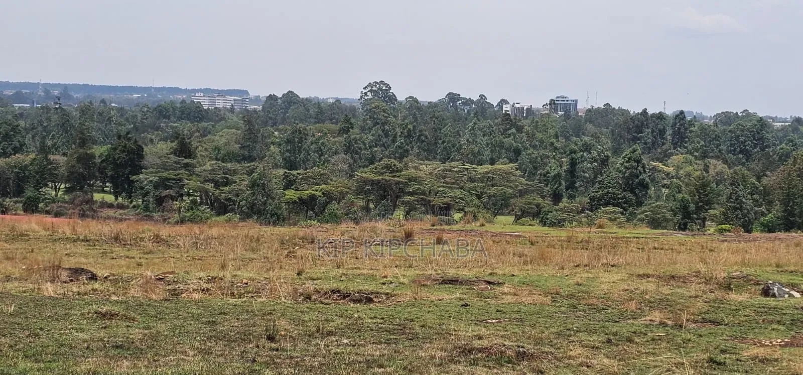 1⁄4 Plots for Sale in Elgonview Eldoret