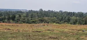 1⁄4 Plots for Sale in Elgonview Eldoret