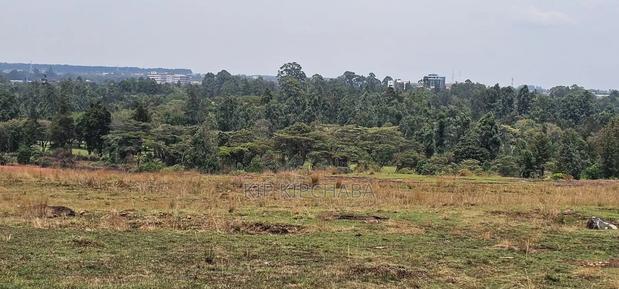 1⁄4 Plots for Sale in Elgonview Eldoret - thumbnail 5