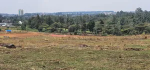 1⁄4 Plots for Sale in Elgonview Eldoret