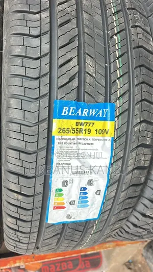 265/55r19 Prado Tx Tyre