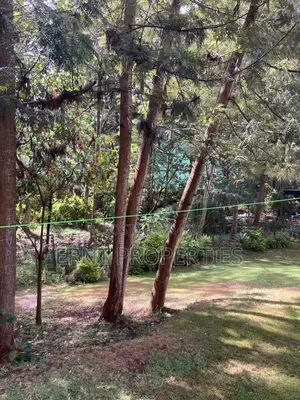 3/4 Acre in Njumbi Lane