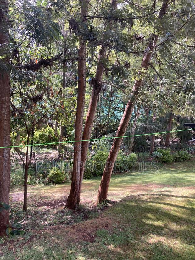 3/4 Acre in Njumbi Lane - thumbnail 5