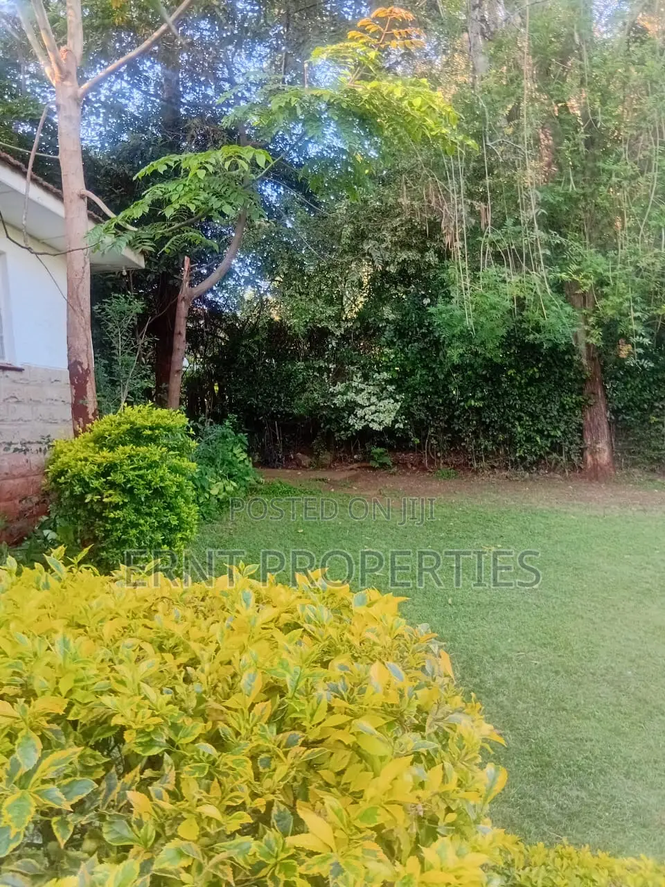 3/4 Acre in Njumbi Lane