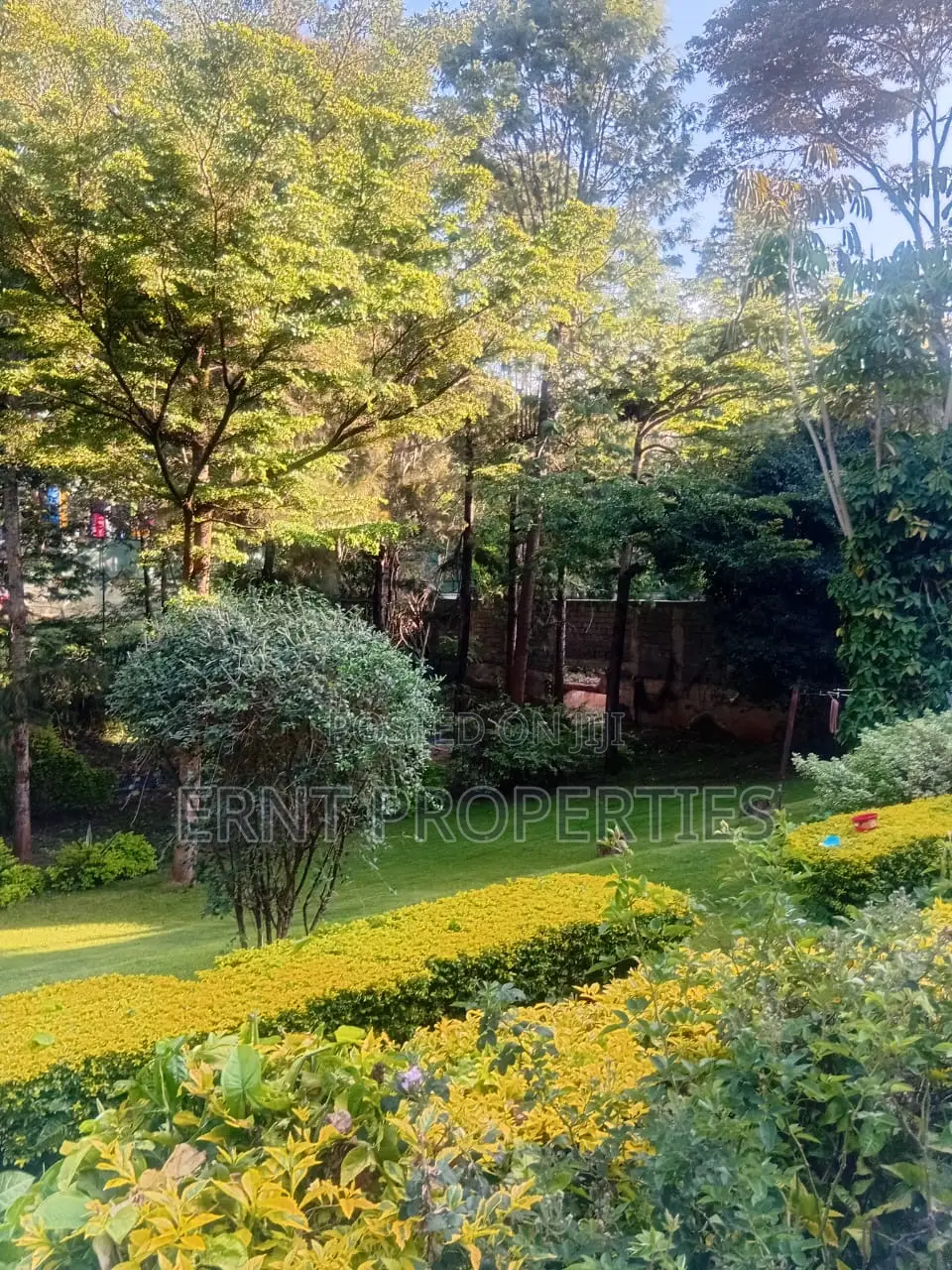 3/4 Acre in Njumbi Lane