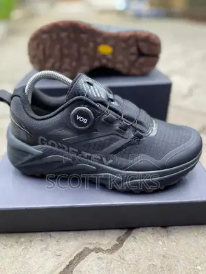 Northface Sneakers