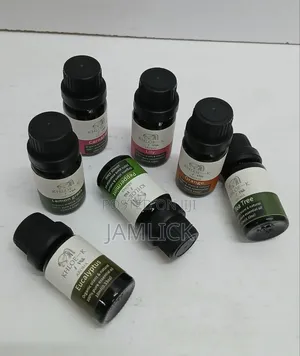 5 in 1 Flavors Essential Oils –Bz