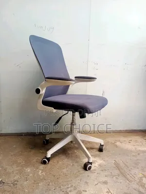 Office Chair With Adjustable Armrest