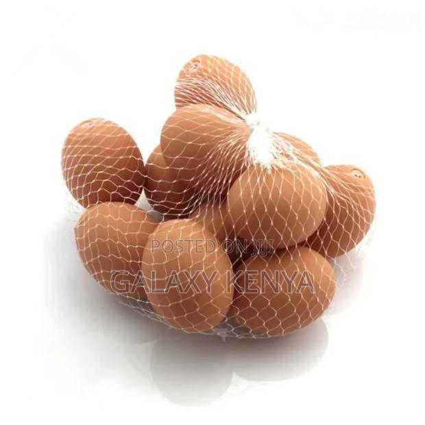 Squishy Egg Toys - main view