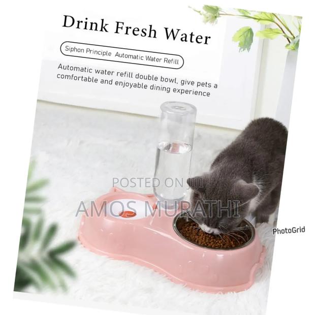 *Automatic Single Pet Bowl Plus Water Dispenser* - main view