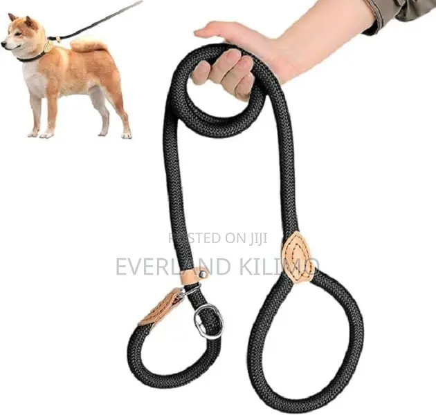 Rope Slip Leash For Dogs