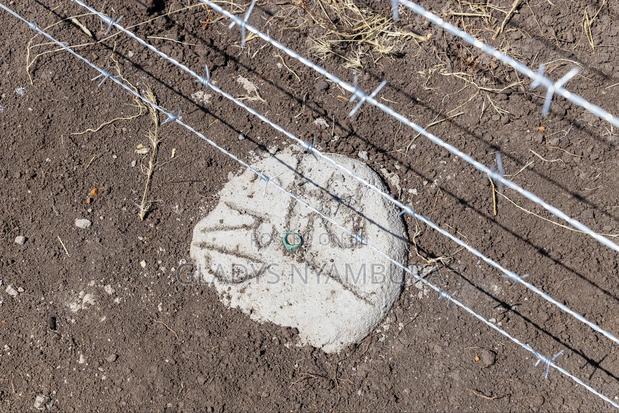 1/Plots for Sale in Nanyuki,2.5km Off Doldol Road - thumbnail 7