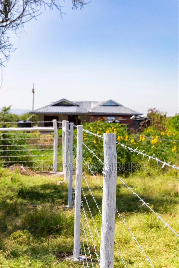 1/Plots for Sale in Nanyuki,2.5km Off Doldol Road - thumbnail 9