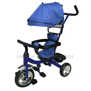 Tricycle With Canopy Blue Upto 4yrs