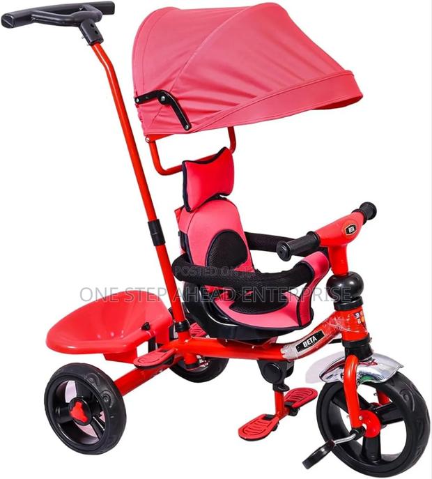Canopy Tricycle With a Handle for Kids - main view