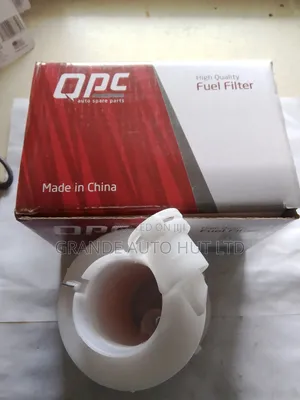 Fuel Filter Petrol for Hyundai Santa Fe 2020 (Qpc Brand)