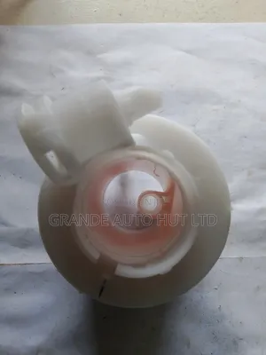 Fuel Filter Petrol for Hyundai Santa Fe 2020 (Qpc Brand)
