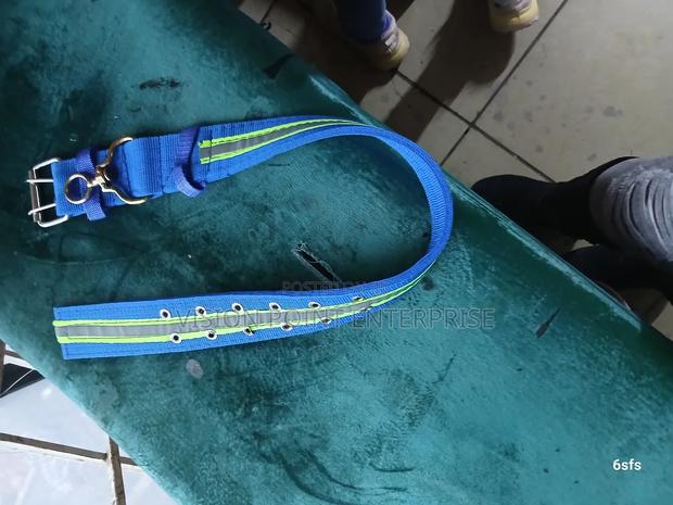 Dog Collar, Dog Collar Heavy Duty - main view